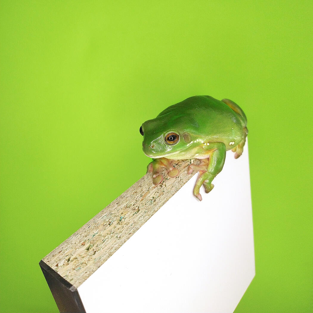 Mini World Photography